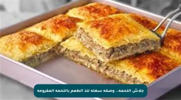 جلاش اللحمة.. وصفة سهلة للذ الطعم باللحمة المفرومة